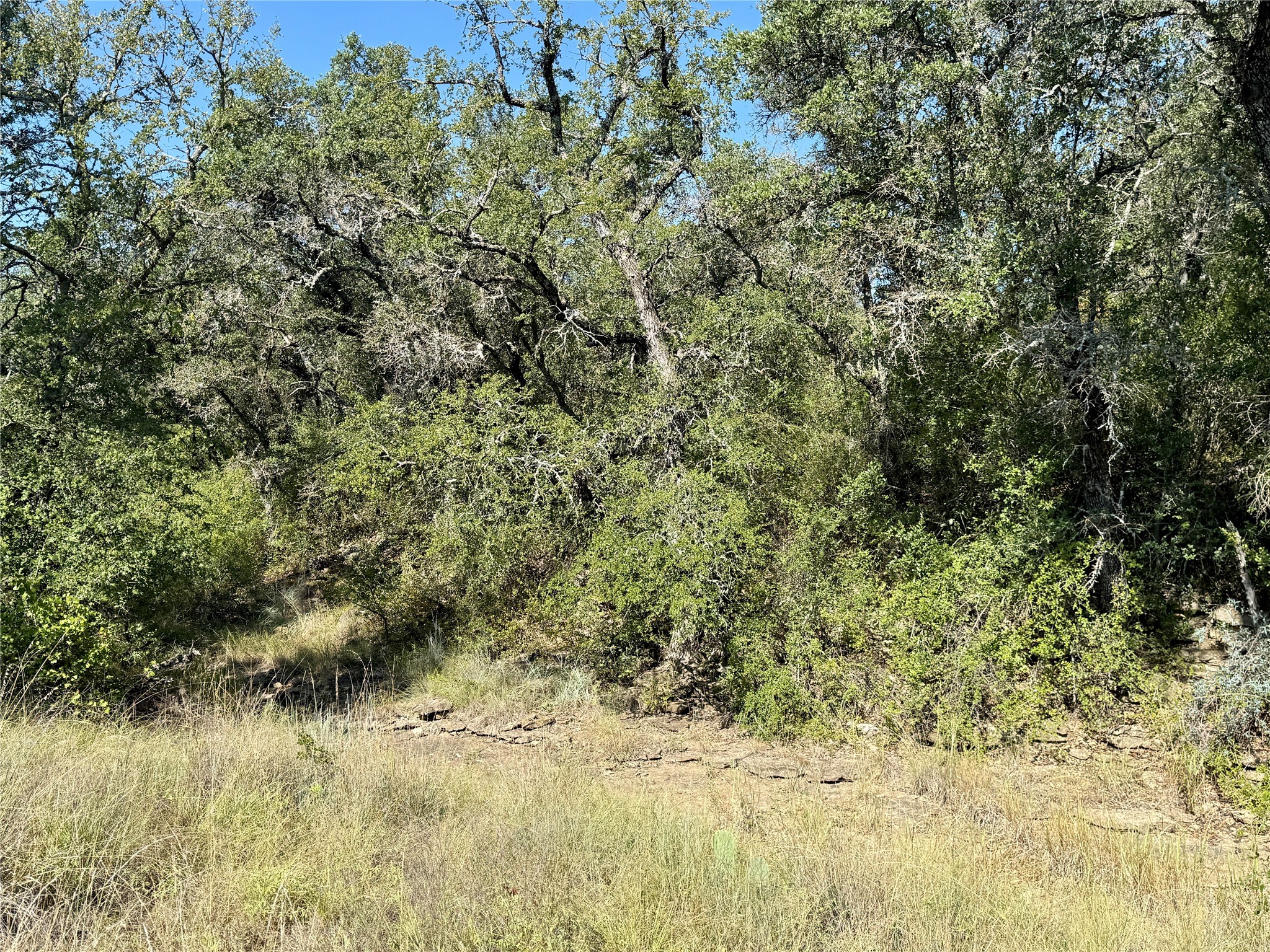90 Fm 2492 Brownwood TX 76801