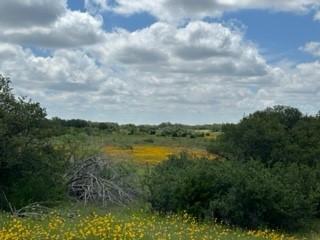 90 Fm 2492 Brownwood TX 76801