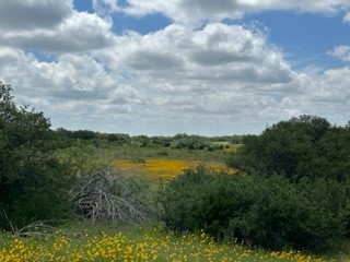 90 Fm 2492 Brownwood TX 76801