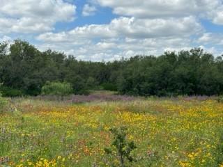 90 Fm 2492 Brownwood TX 76801