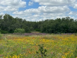 90 Fm 2492 Brownwood TX 76801