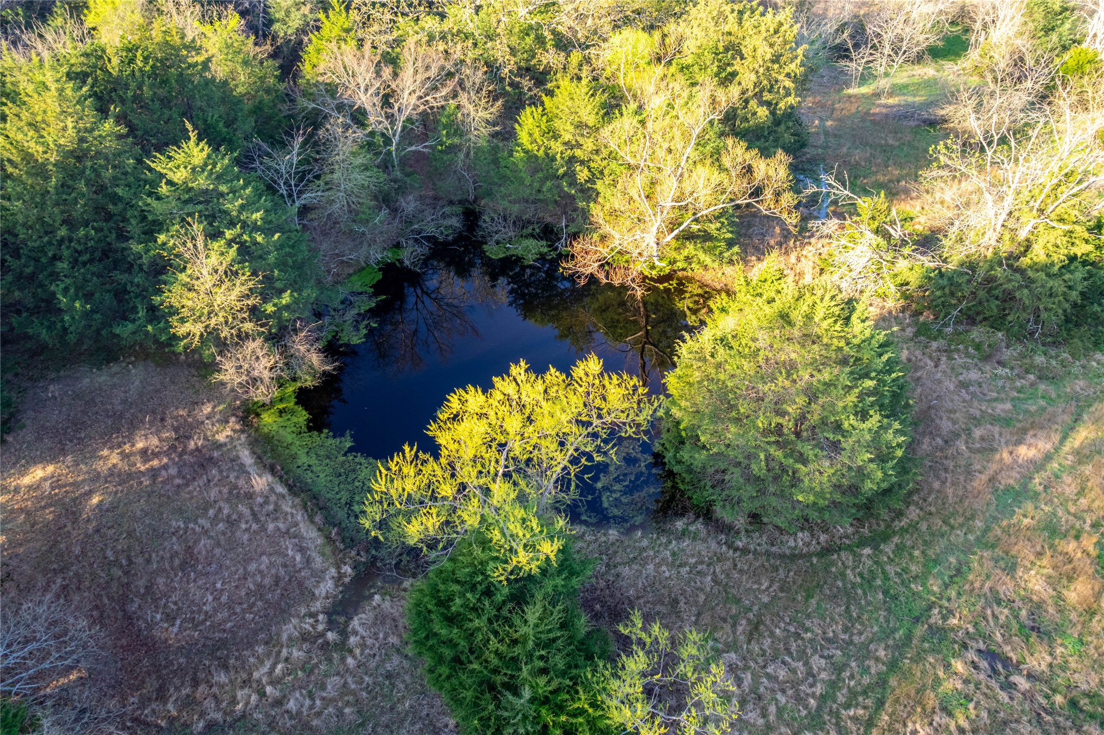 Lot Wp001 County Road 4767 Sulphur Springs TX 75482
