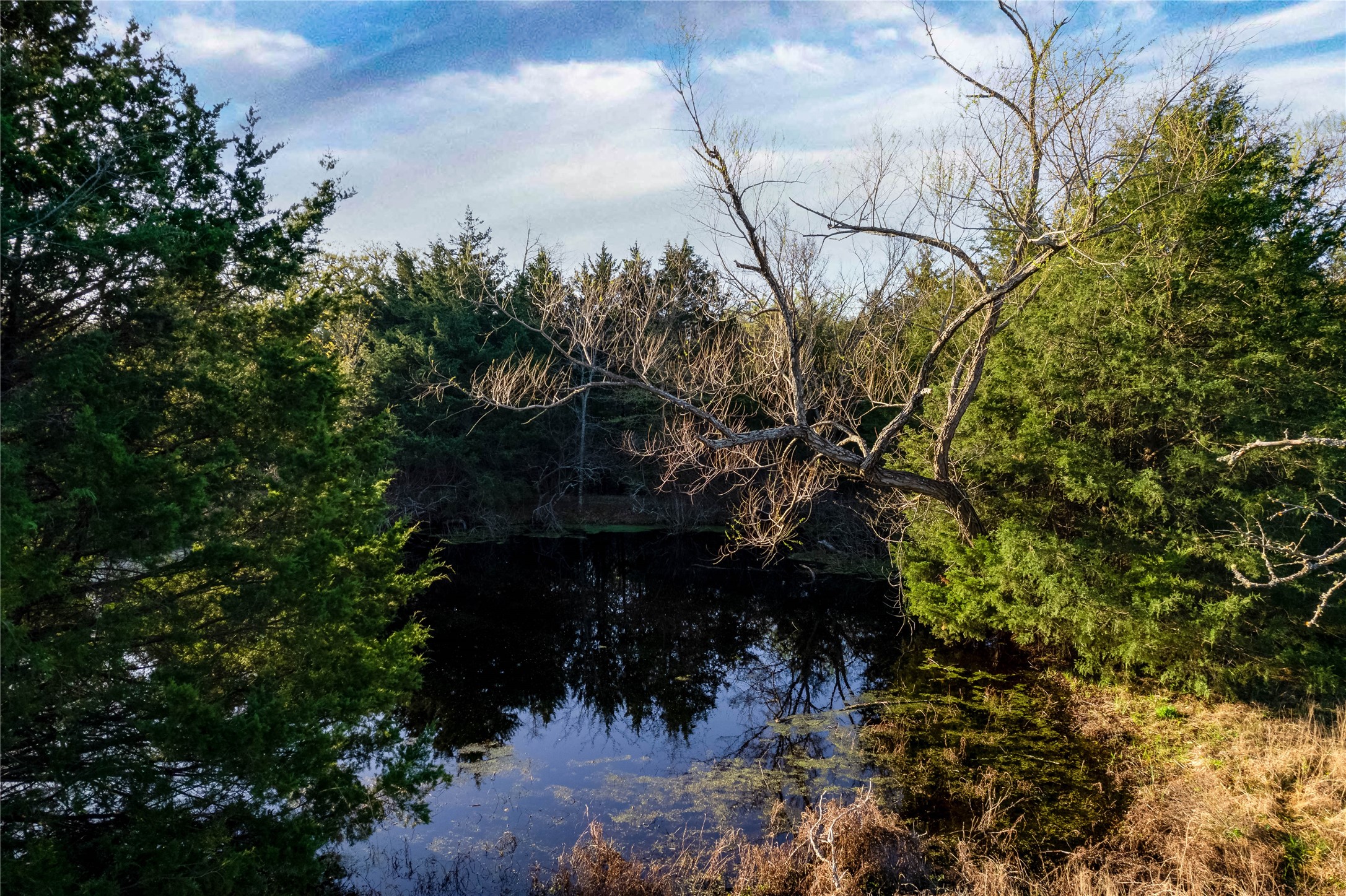 Lot Wp001 County Road 4767 Sulphur Springs TX 75482