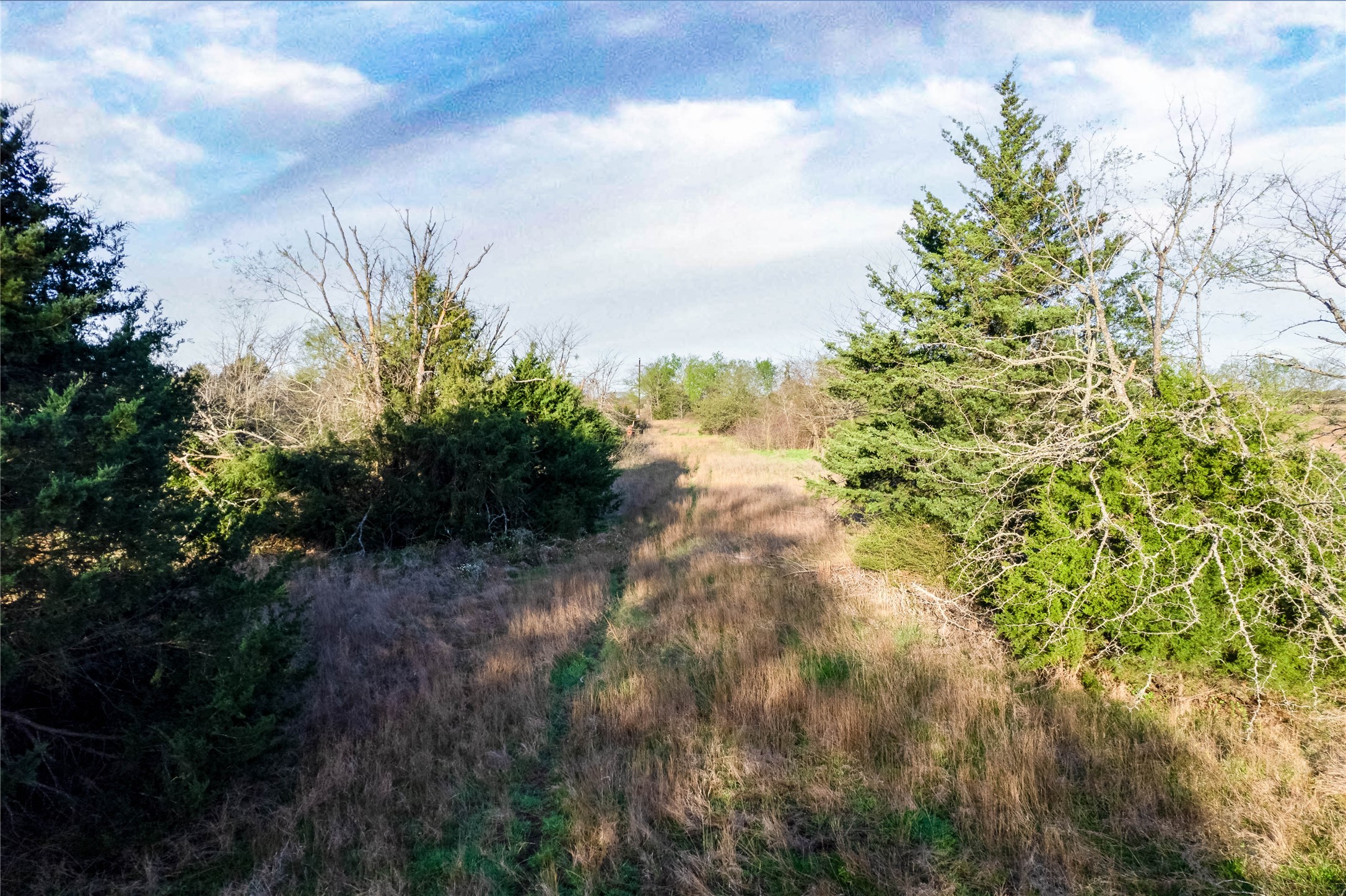 Lot Wp001 County Road 4767 Sulphur Springs TX 75482
