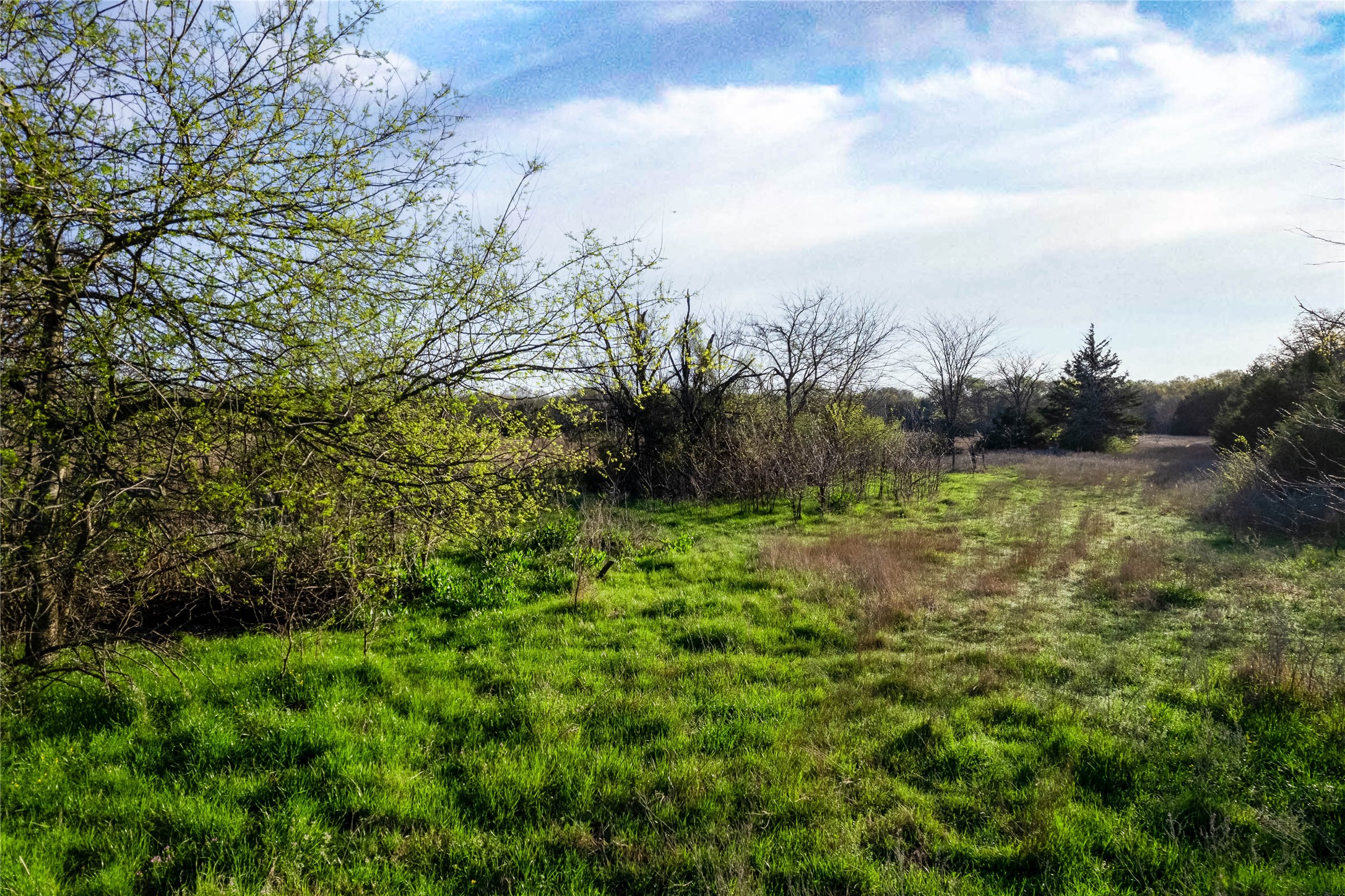 Lot Wp001 County Road 4767 Sulphur Springs TX 75482