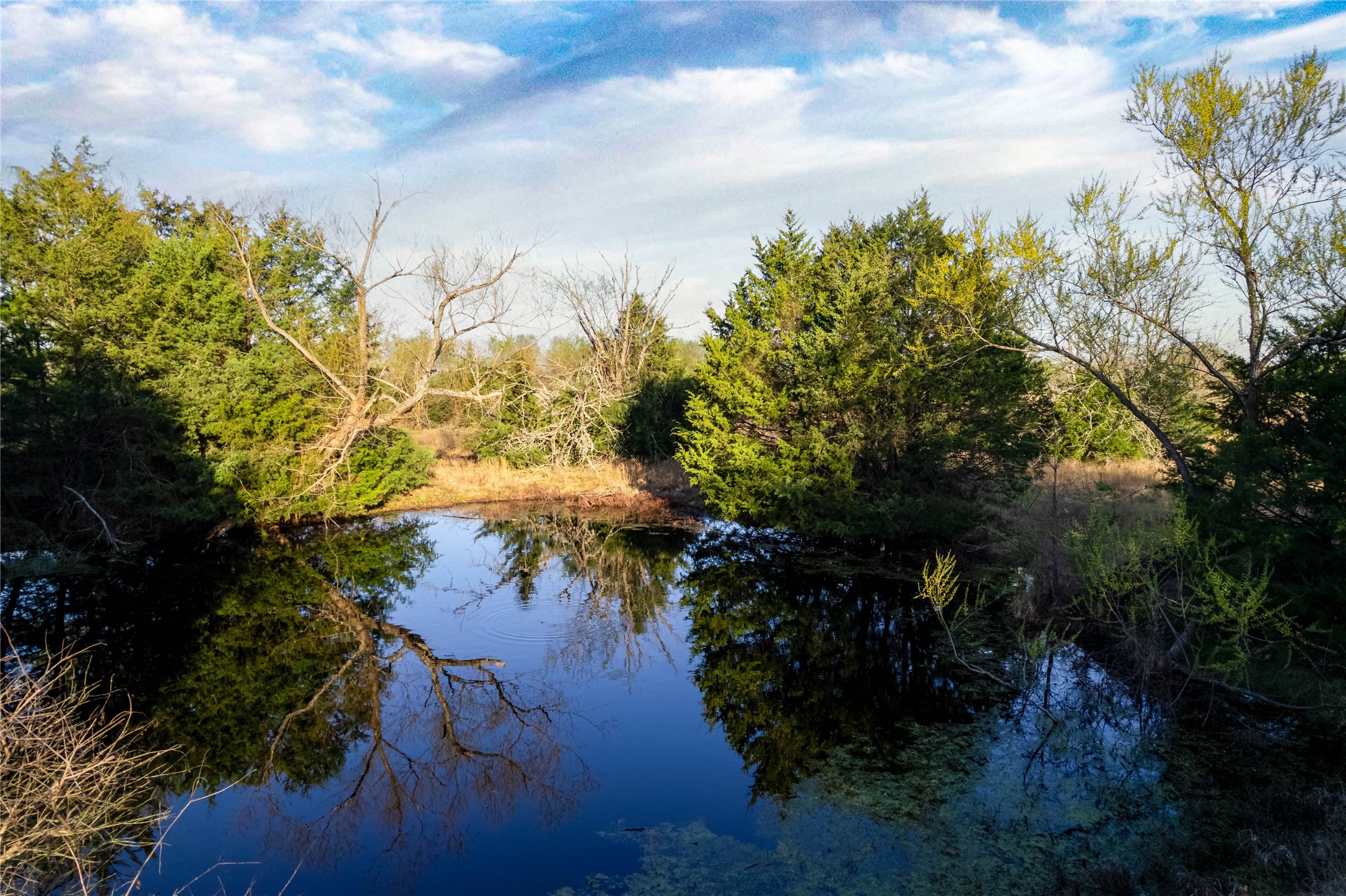 Lot Wp001 County Road 4767 Sulphur Springs TX 75482