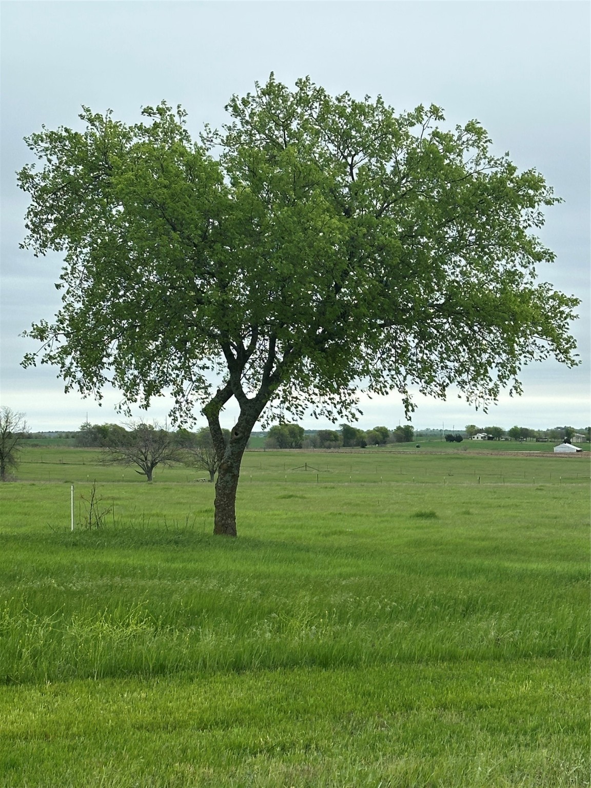 Tbd -1 Fm 1198 Muenster TX 76252