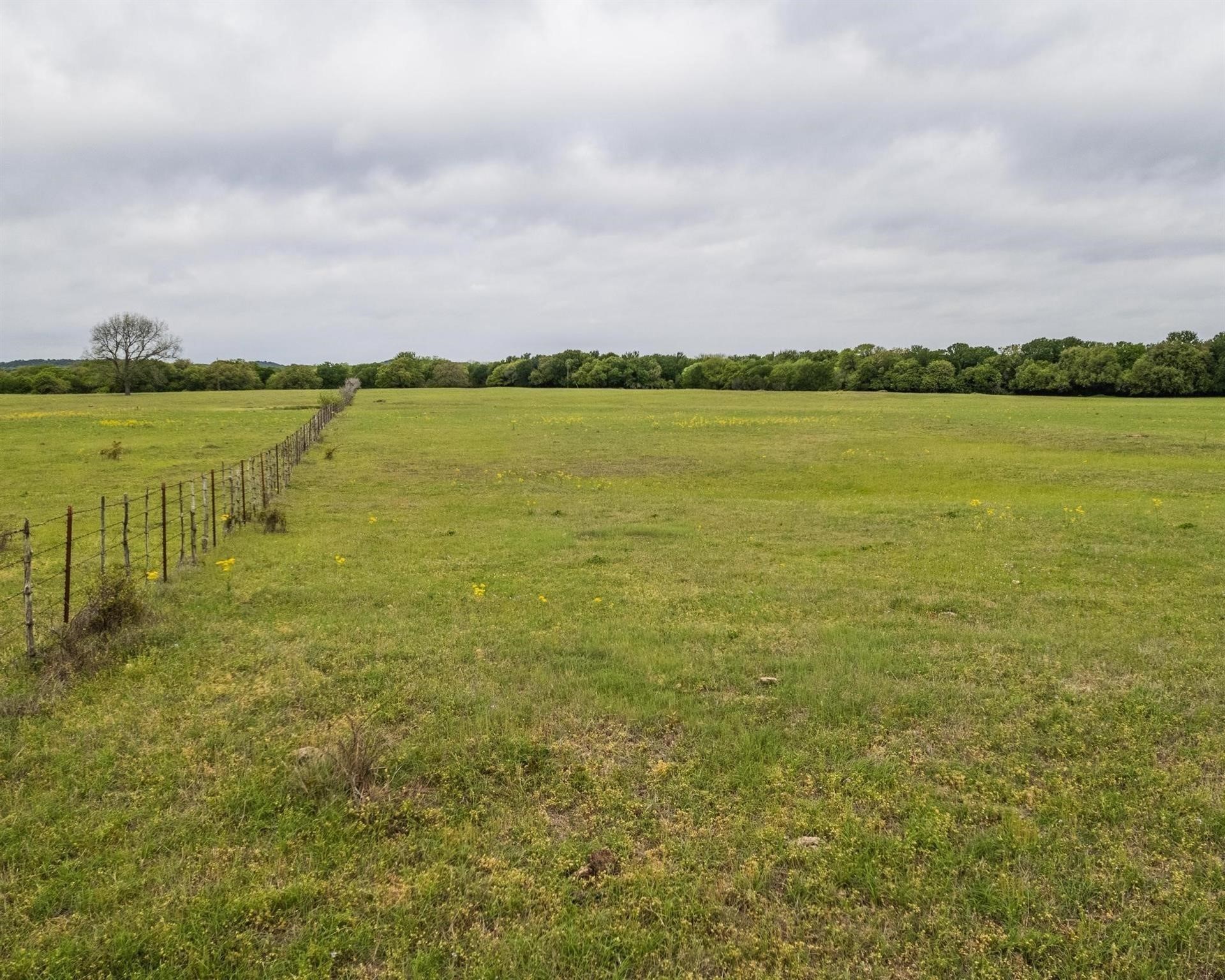 Tbd County Road 160 Bluff Dale TX 76433