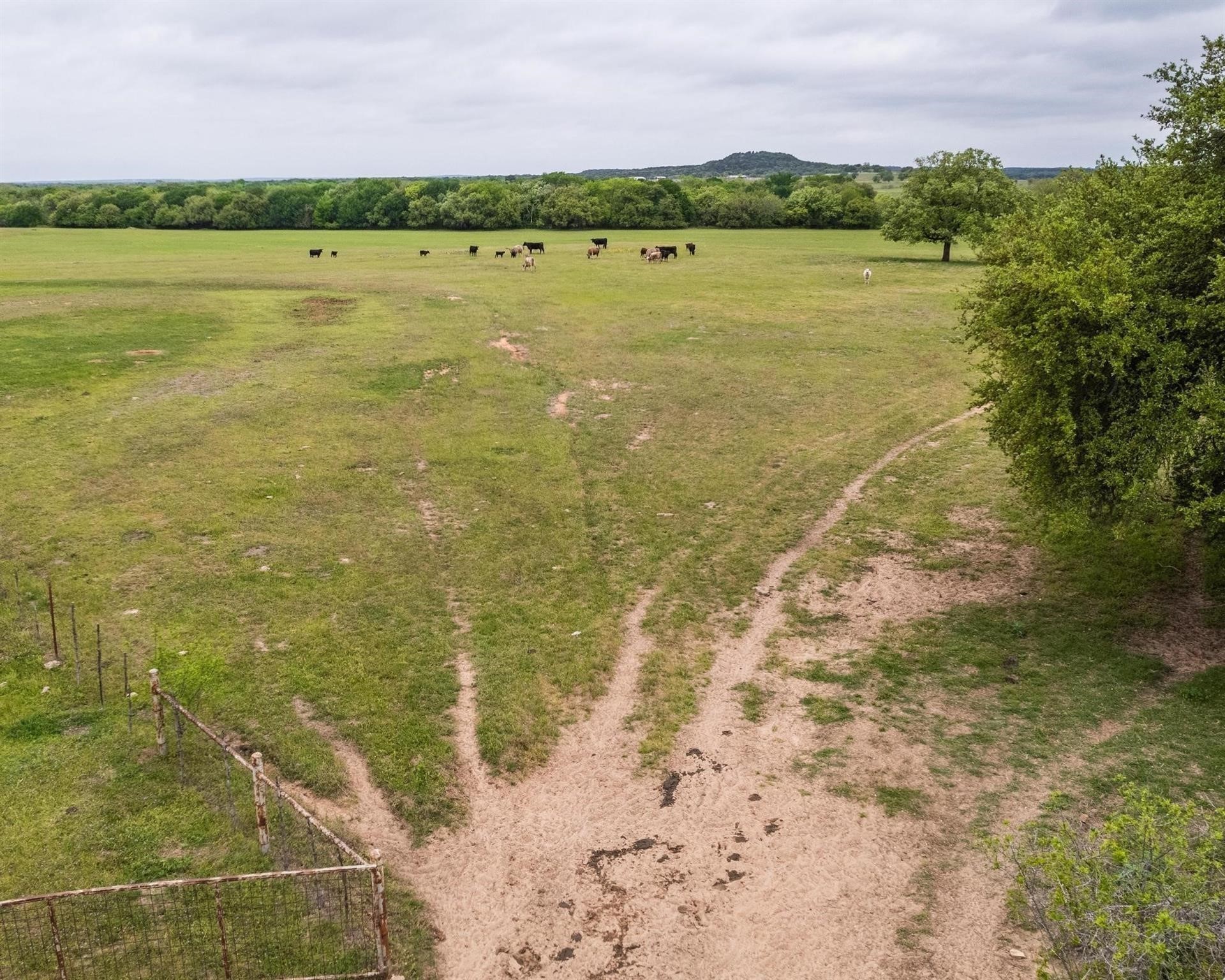 Tbd County Road 160 Bluff Dale TX 76433