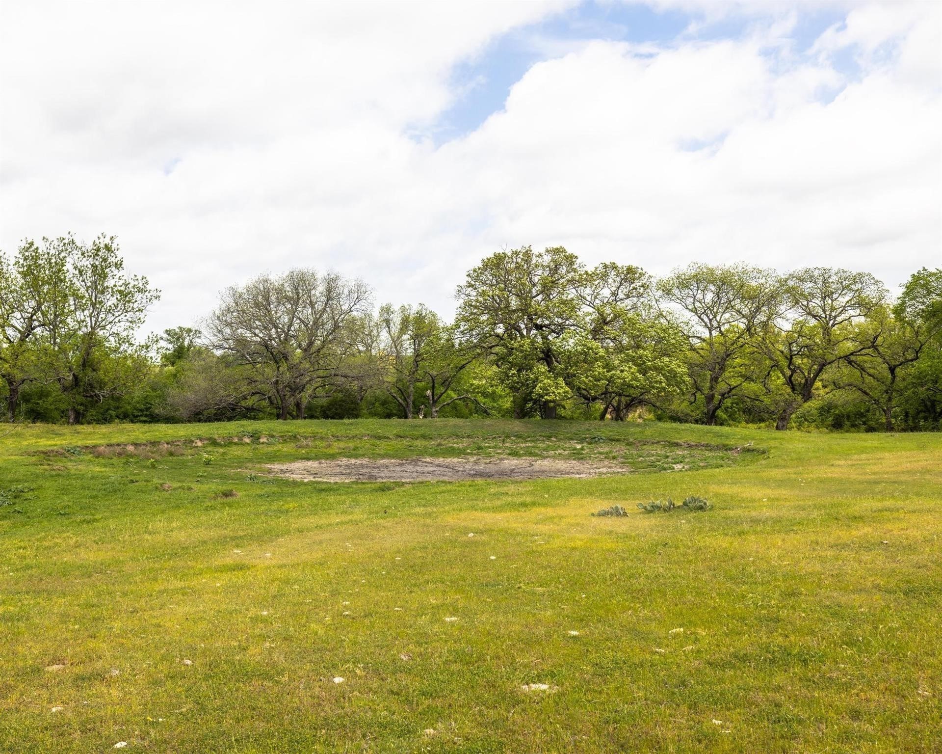 Tbd County Road 160 Bluff Dale TX 76433