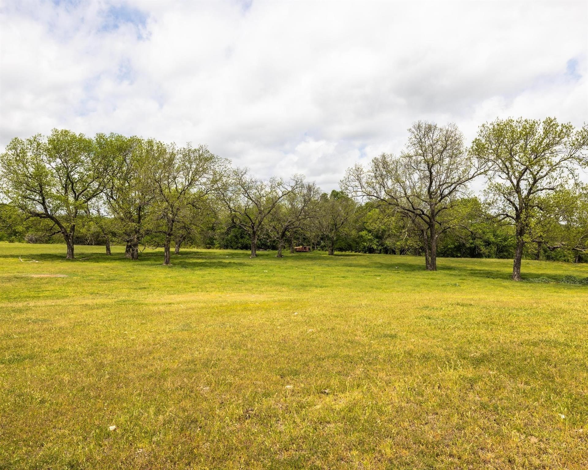 Tbd County Road 160 Bluff Dale TX 76433