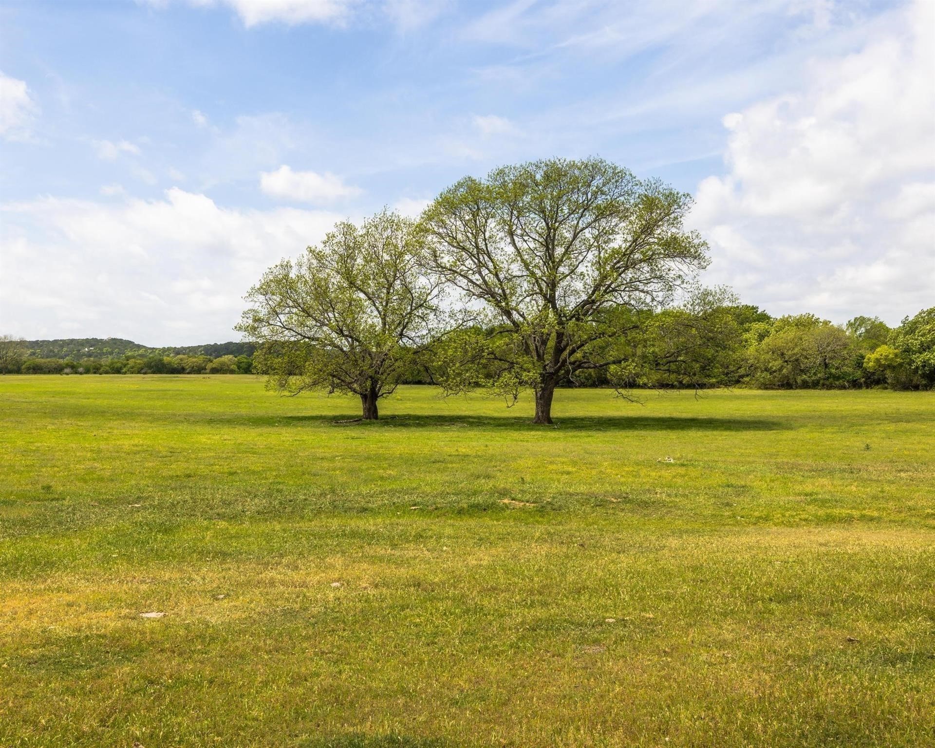 Tbd County Road 160 Bluff Dale TX 76433