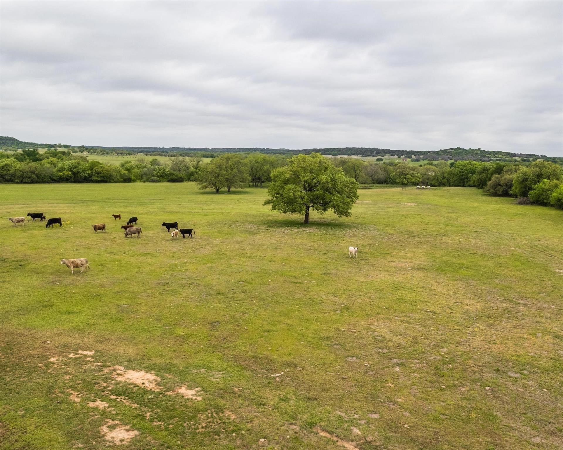 Tbd County Road 160 Bluff Dale TX 76433