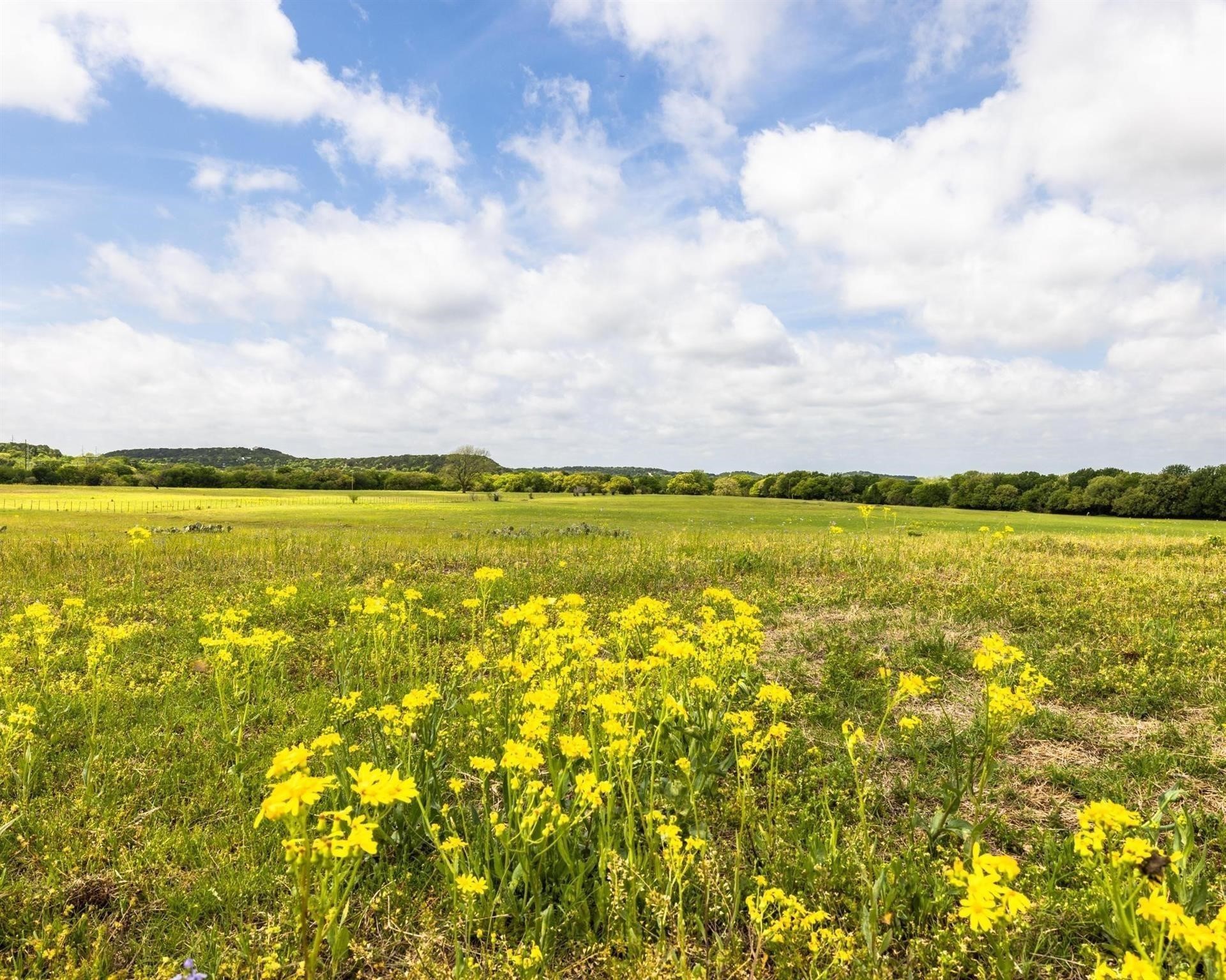 Tbd County Road 160 Bluff Dale TX 76433
