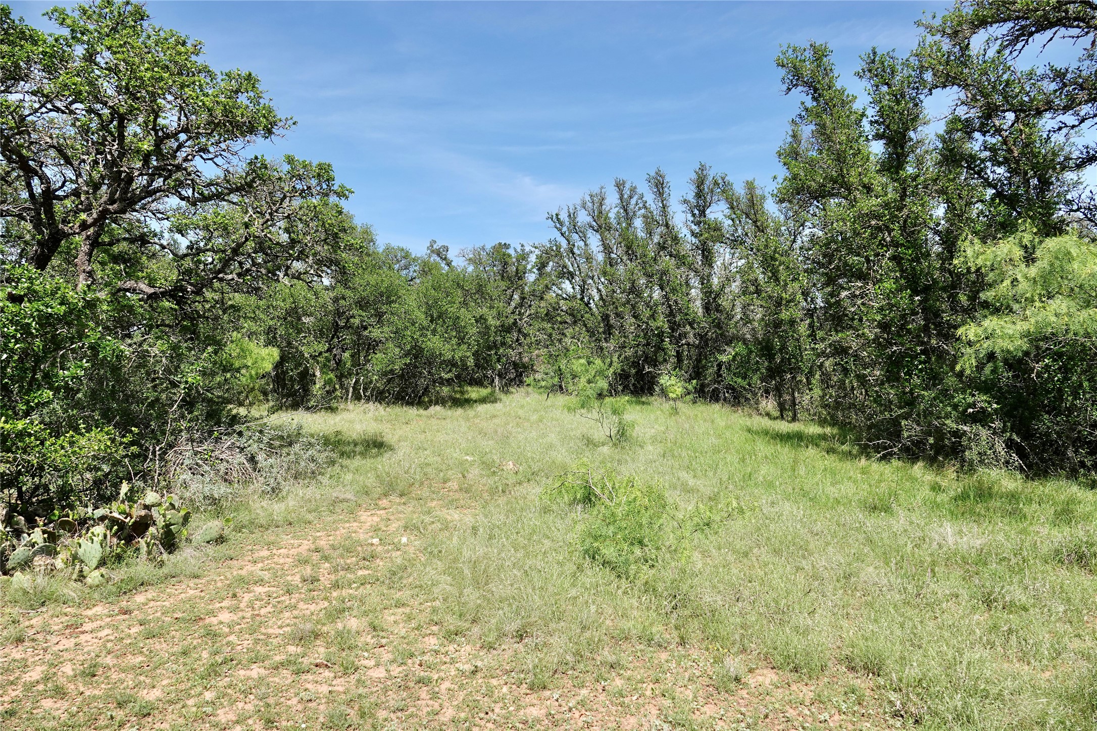 163 S Fm 573 Mullin TX 76864
