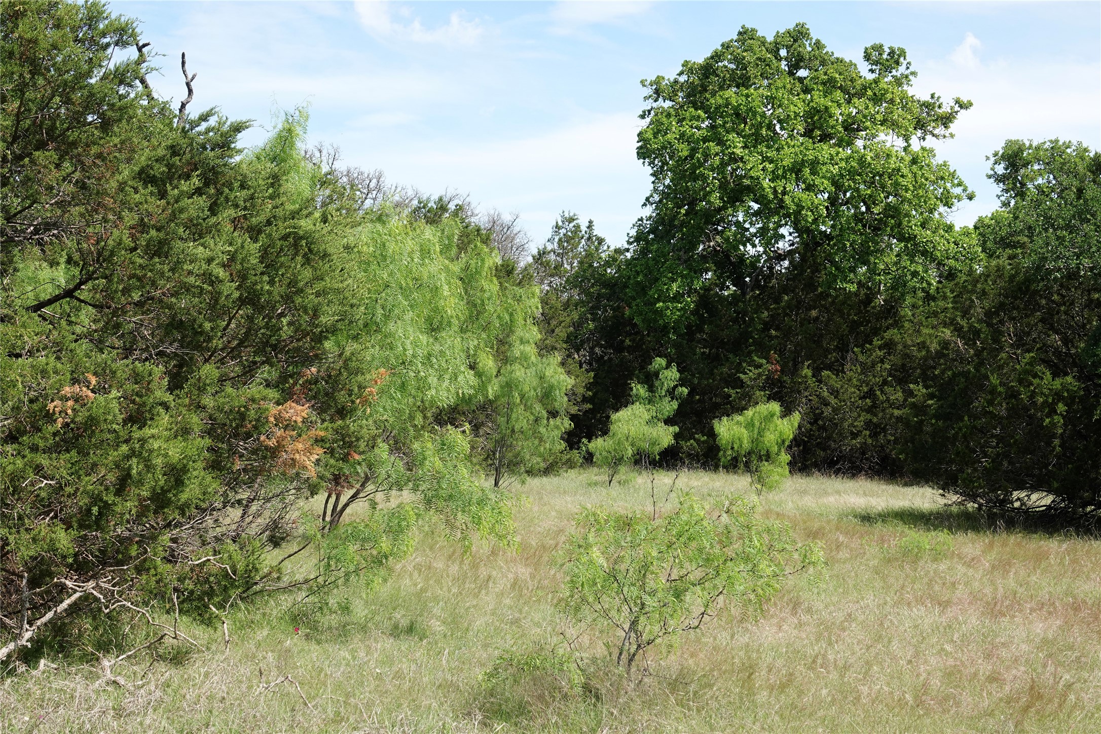 163 S Fm 573 Mullin TX 76864
