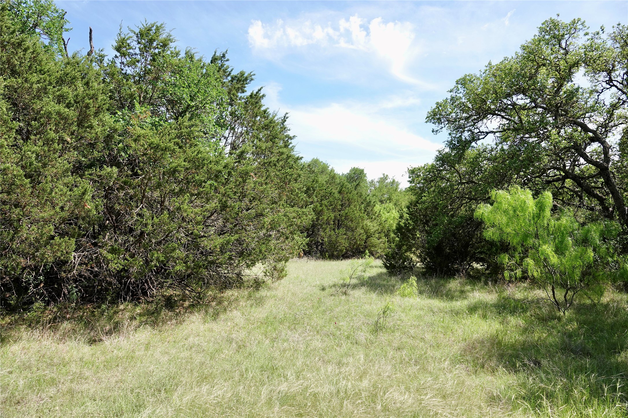 163 S Fm 573 Mullin TX 76864