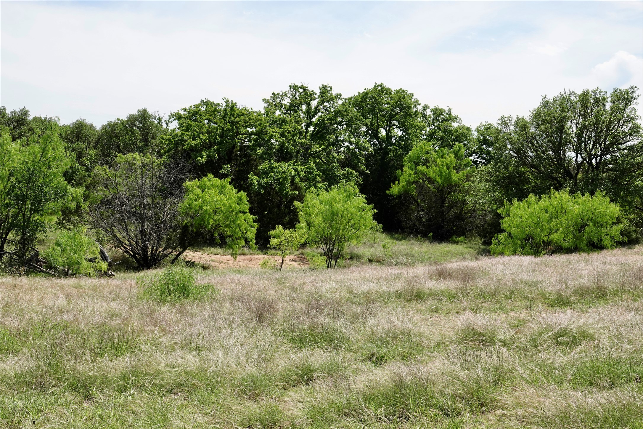 163 S Fm 573 Mullin TX 76864