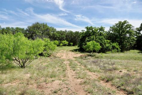 163 S Fm 573 Mullin TX 76864
