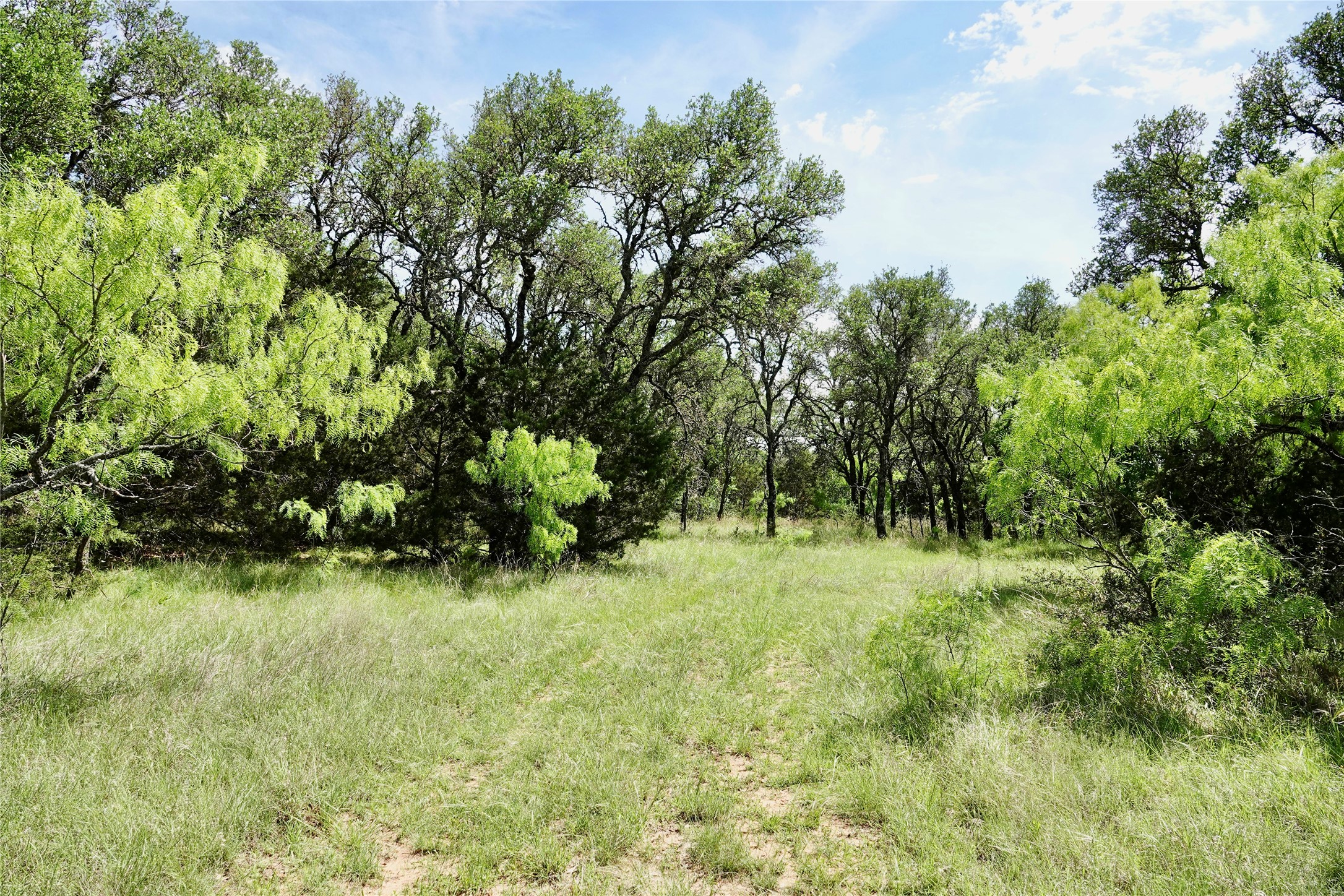 163 S Fm 573 Mullin TX 76864