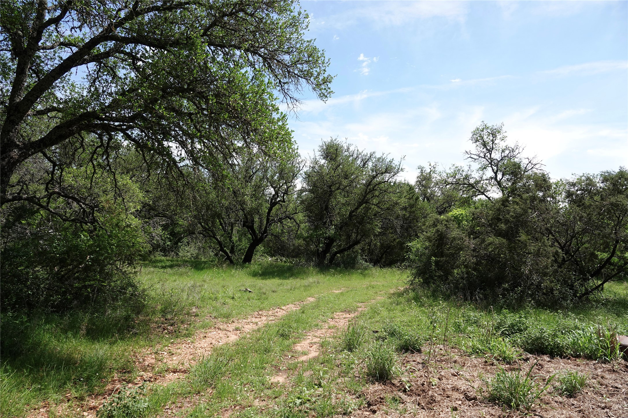 163 S Fm 573 Mullin TX 76864