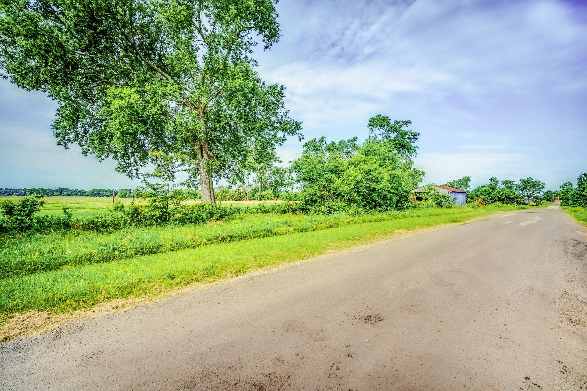 Lot 3 Spring Ranch Sulphur Springs TX 75482