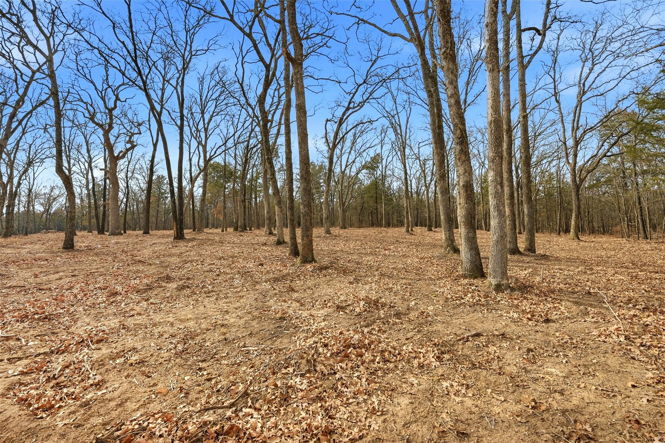 Lot 26 White Tail Way Pottsboro TX 75076