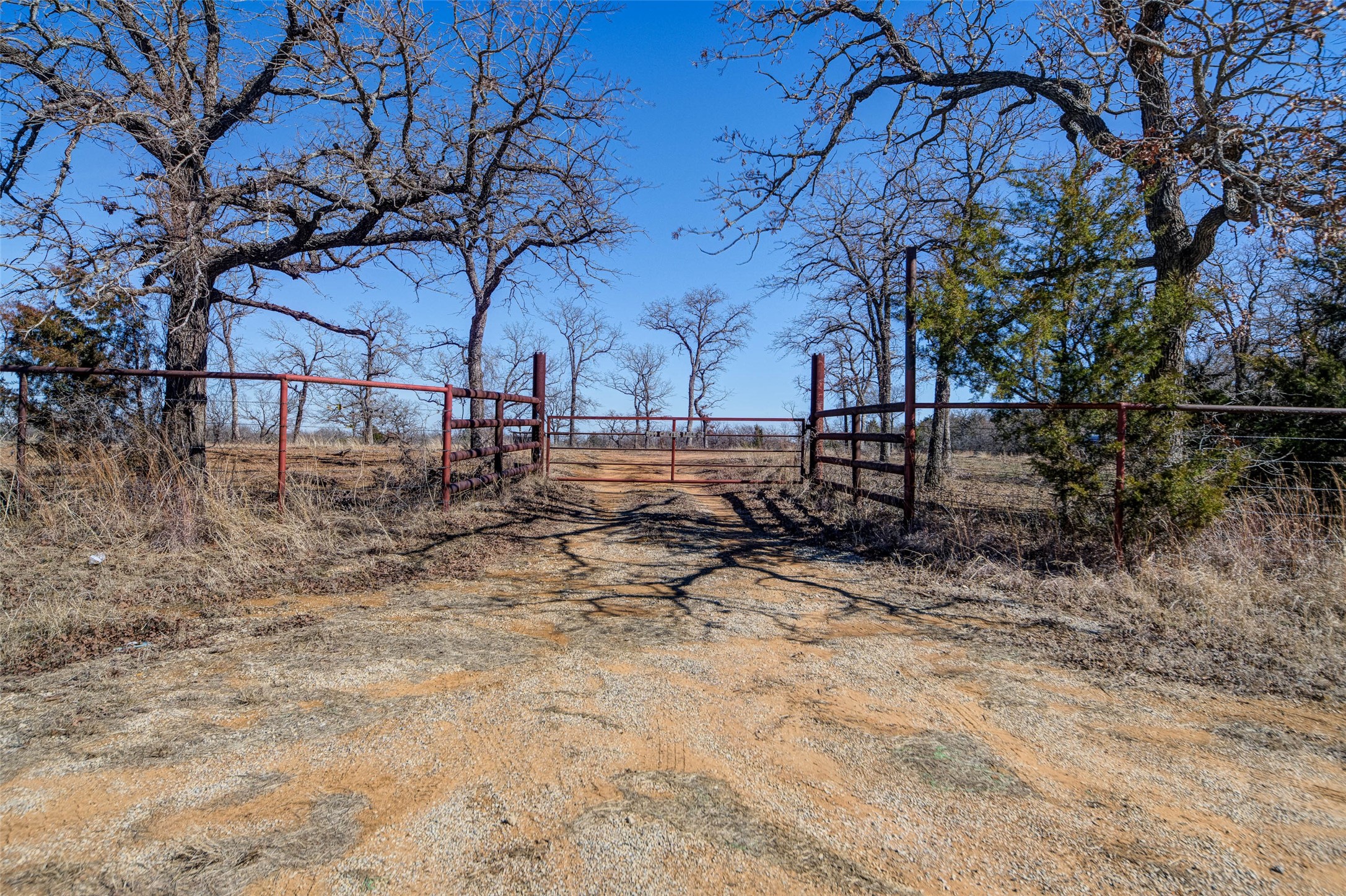 594 Carter Lake Drive Bowie TX 76230