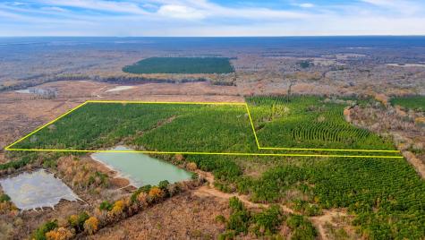 Tbd Cr-4308 De Kalb TX 75559