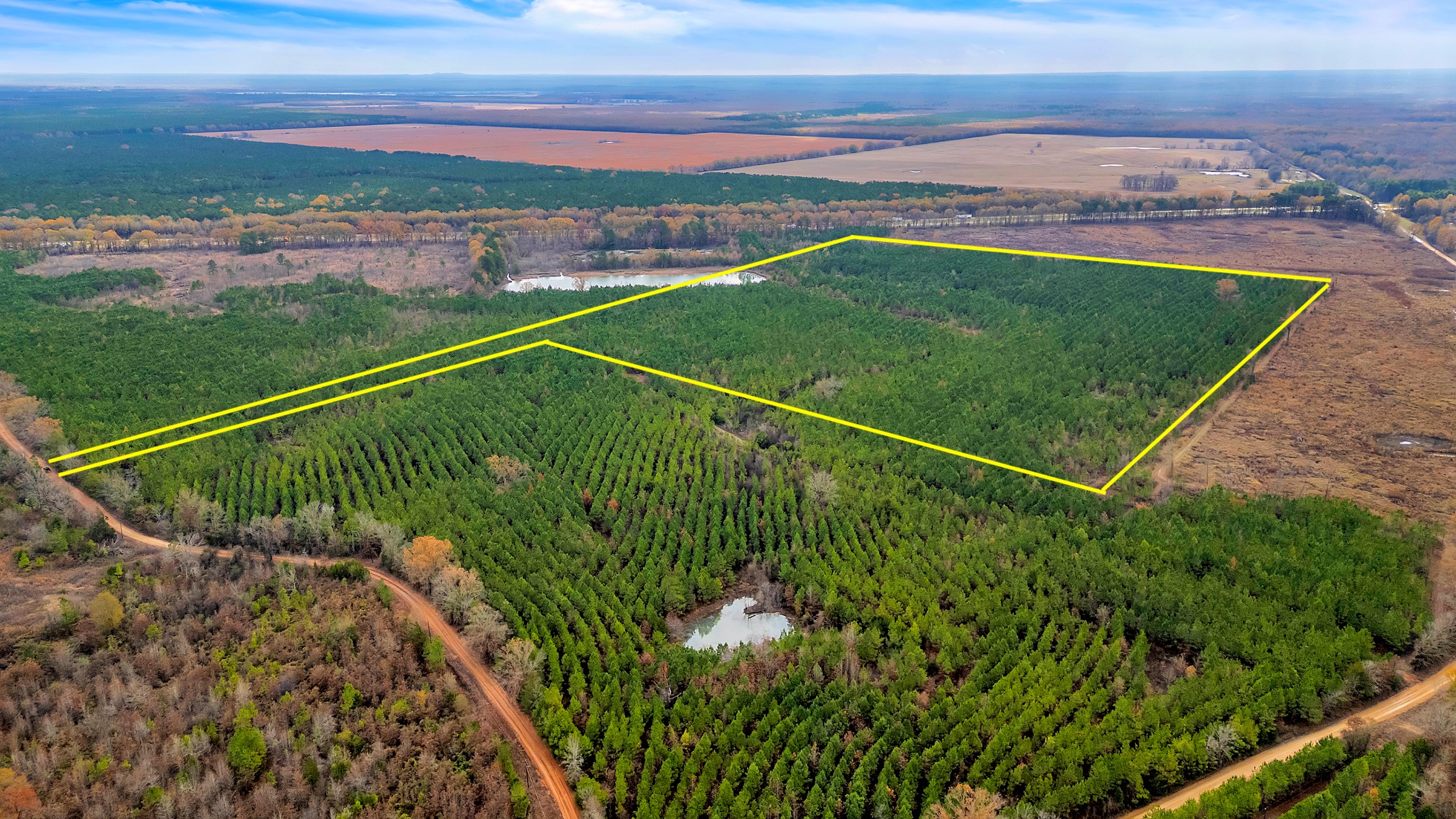 Tbd Cr-4308 De Kalb TX 75559