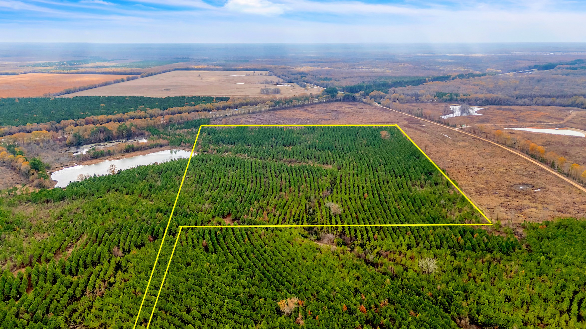 Tbd Cr-4308 De Kalb TX 75559
