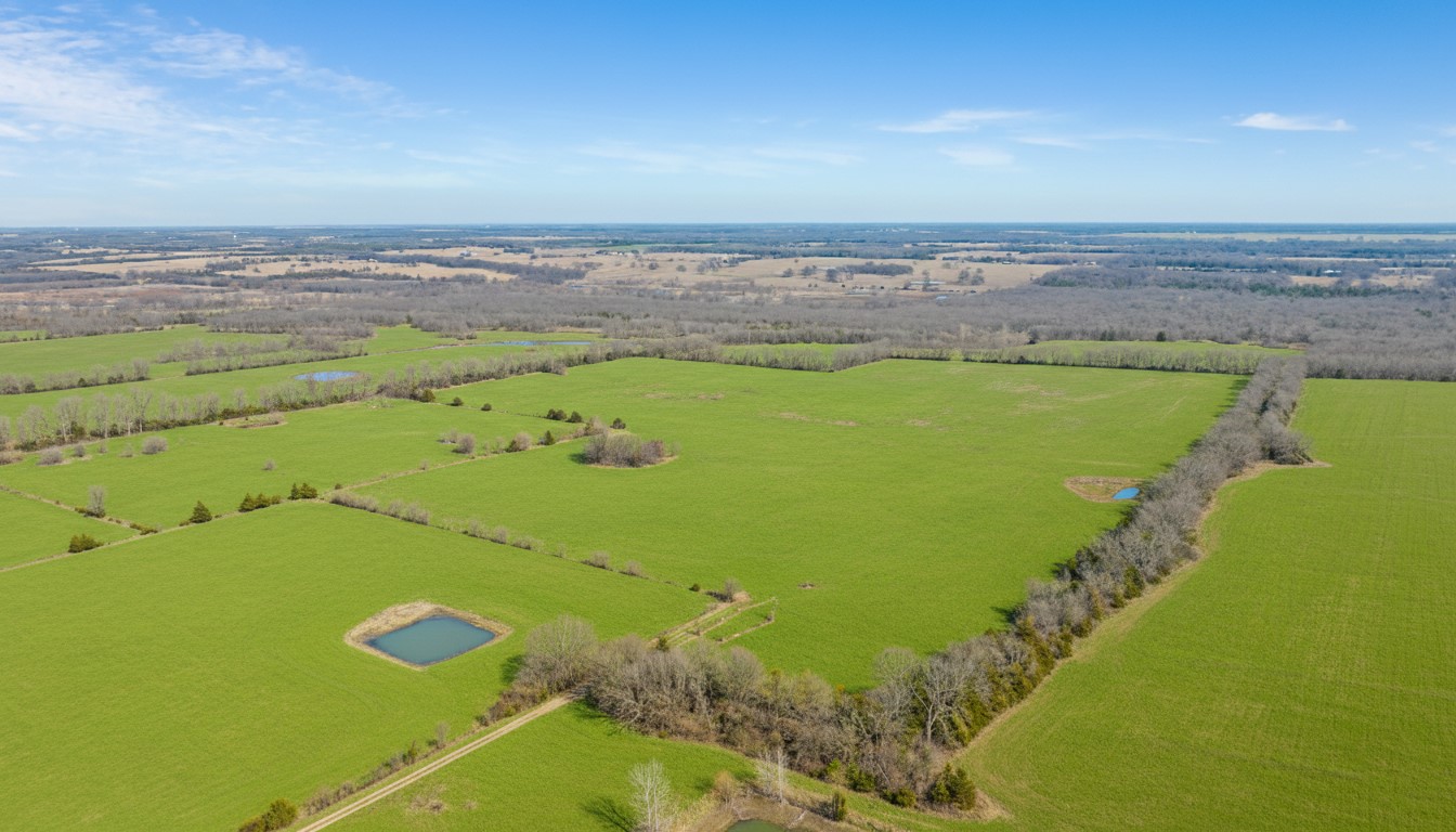 Tbd County Road 14790 Paris TX 75462