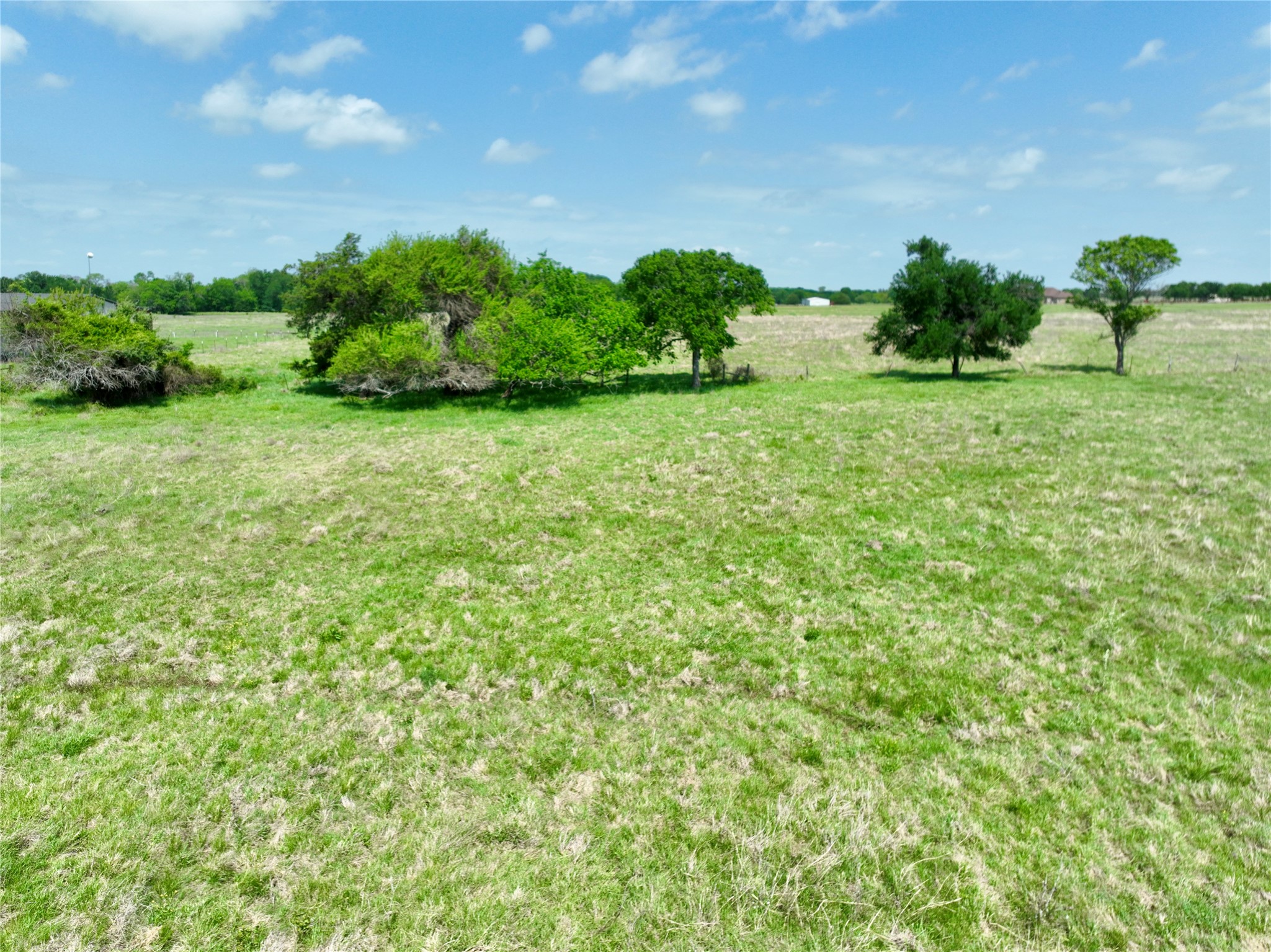Tbd 11 Acres Fm 1183 Alma TX 75119
