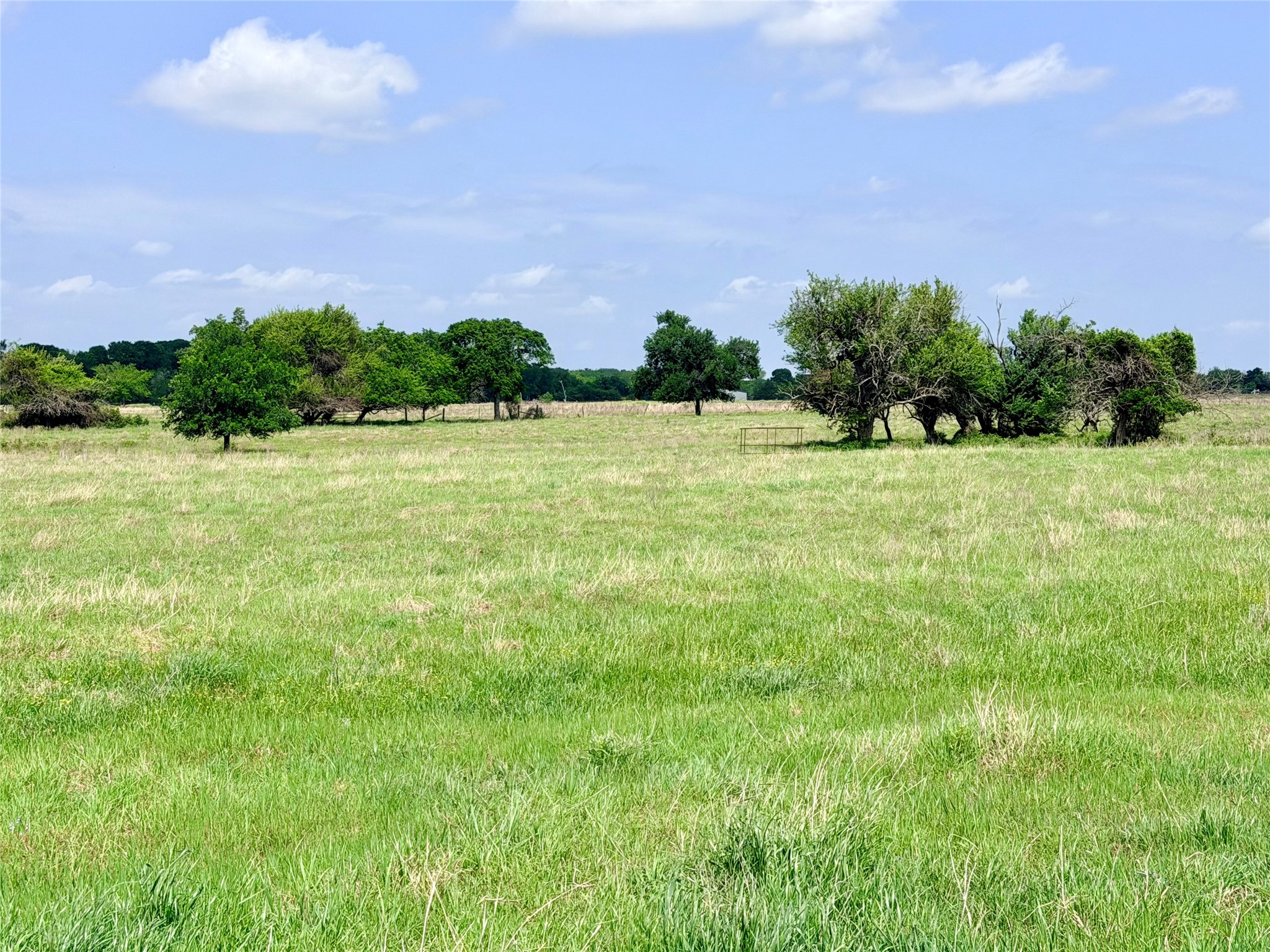Tbd 11 Acres Fm 1183 Alma TX 75119