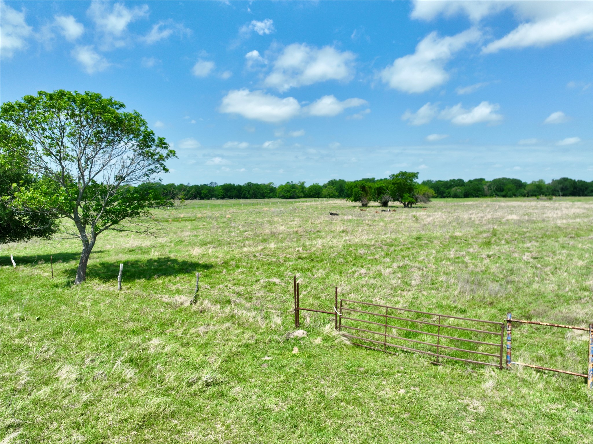 Tbd 11 Acres Fm 1183 Alma TX 75119