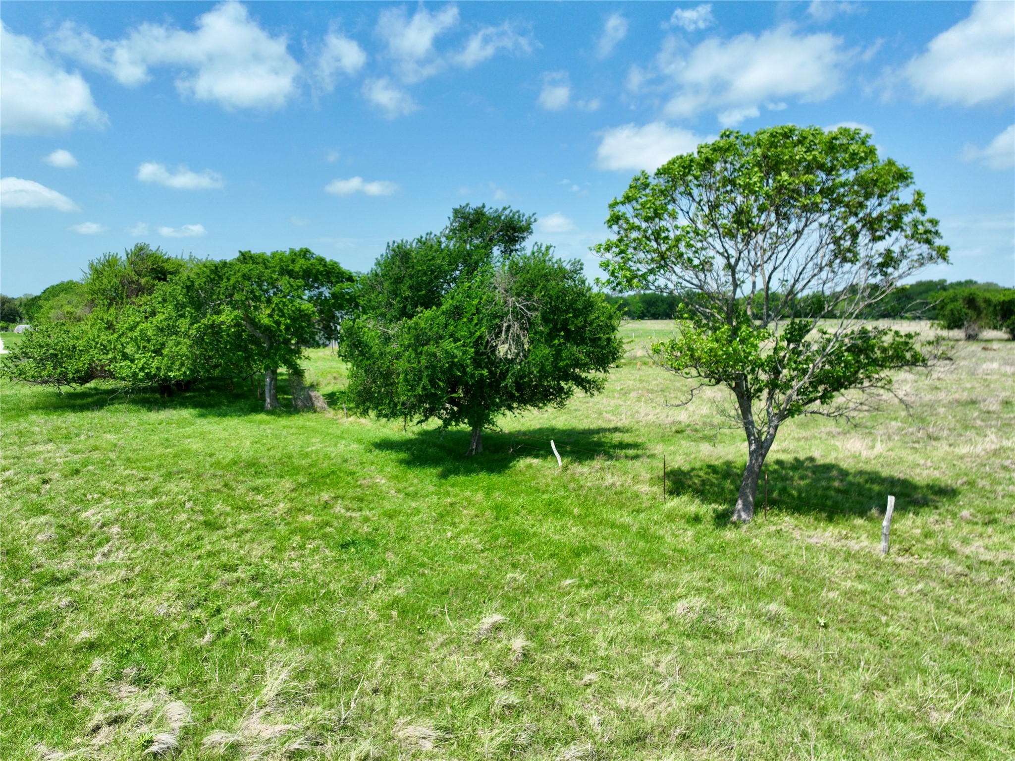 Tbd 11 Acres Fm 1183 Alma TX 75119