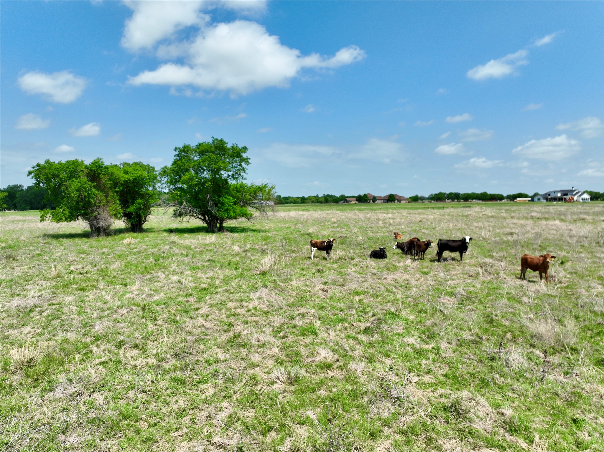 Tbd 11 Acres Fm 1183 Alma TX 75119