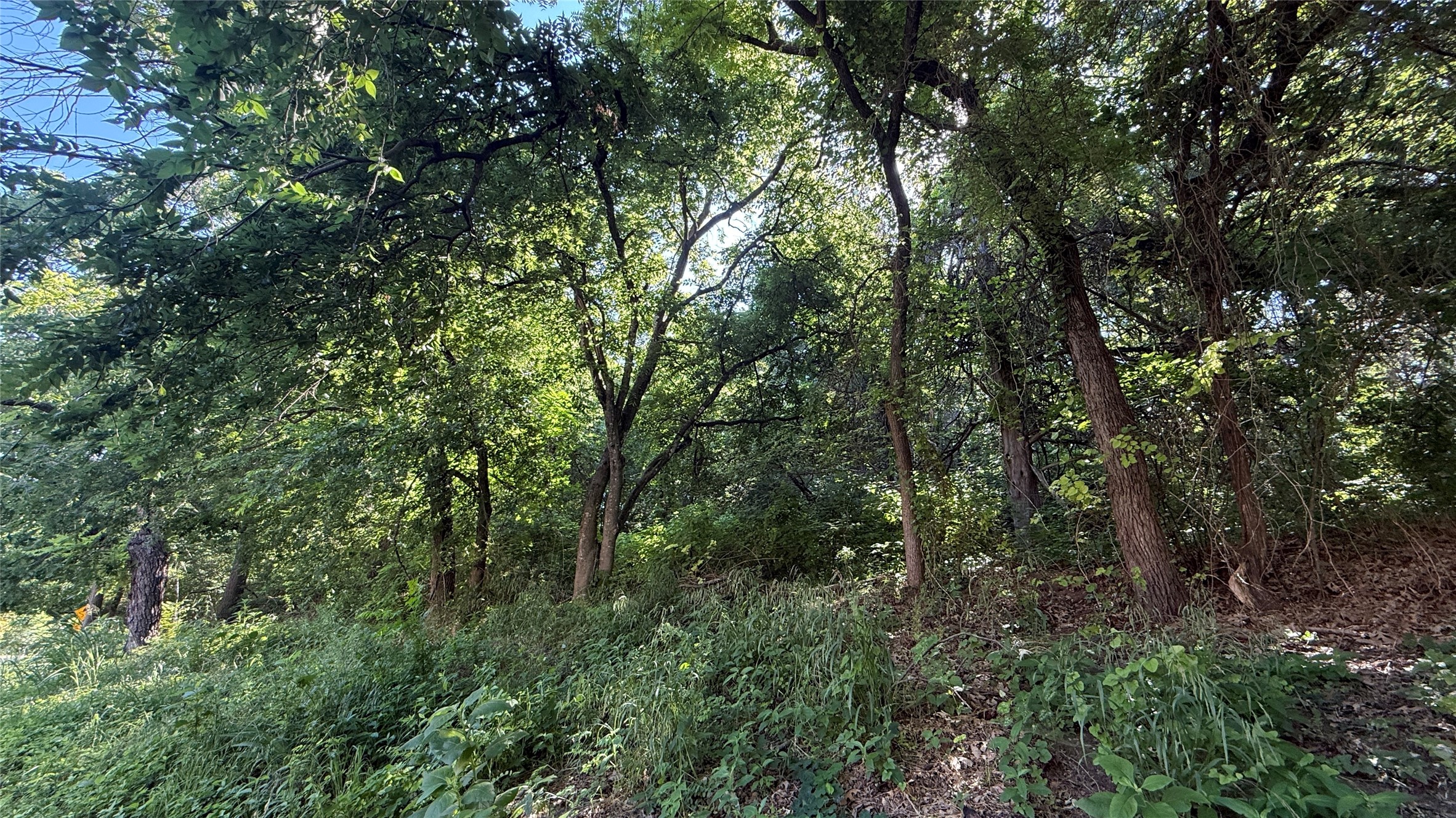 906 Sleepy Hollow Drive Cedar Hill TX 75104