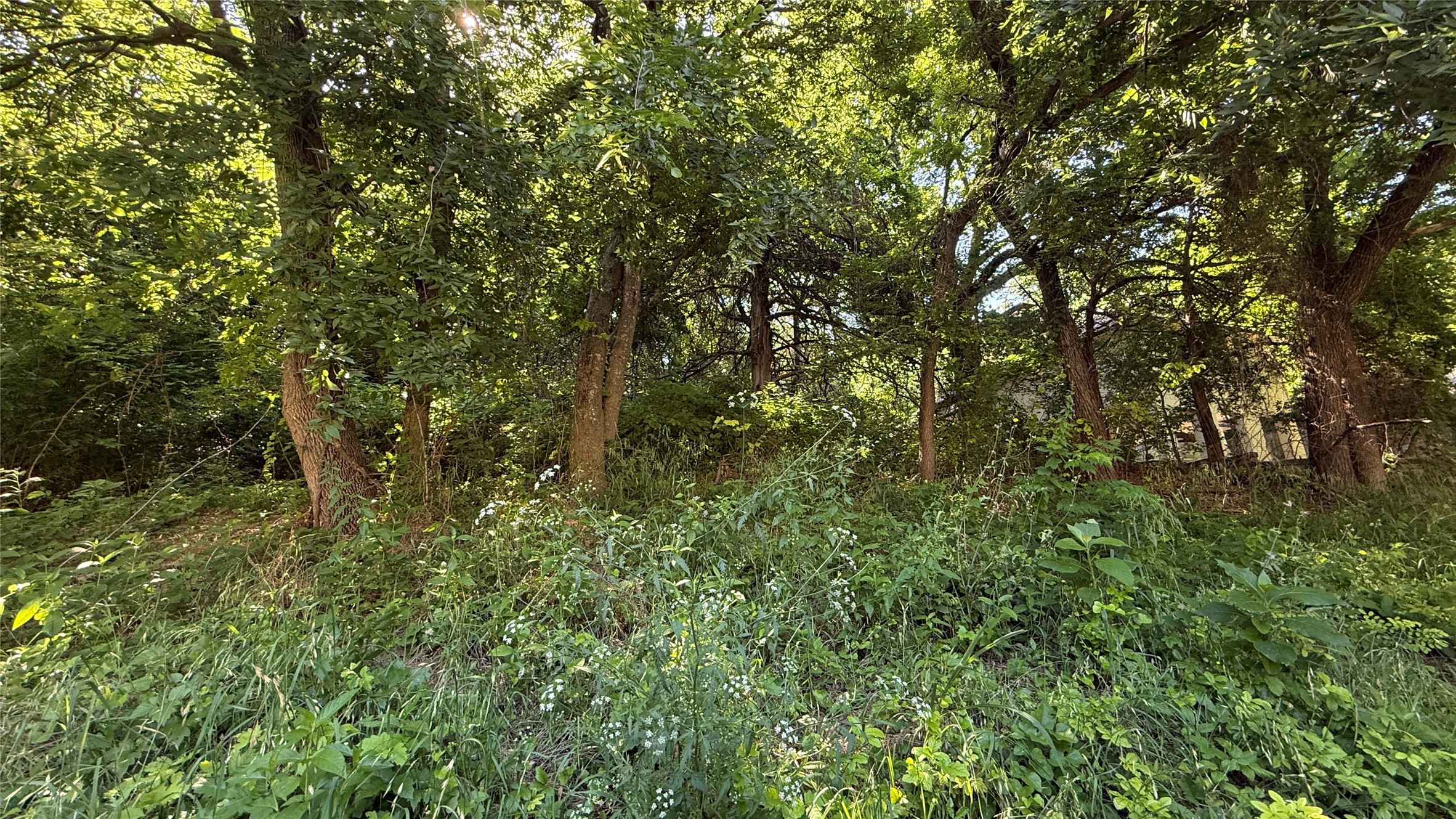 906 Sleepy Hollow Drive Cedar Hill TX 75104