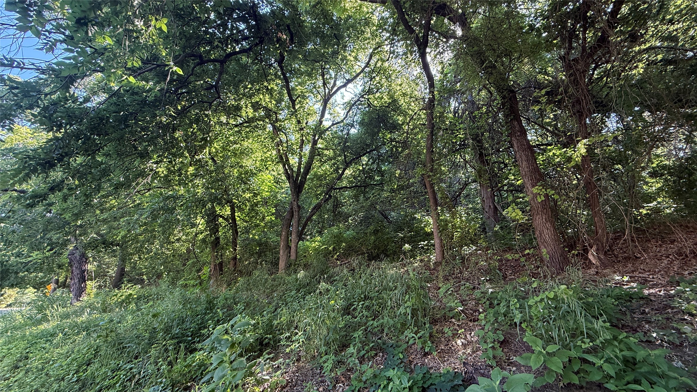 906 Sleepy Hollow Drive Cedar Hill TX 75104