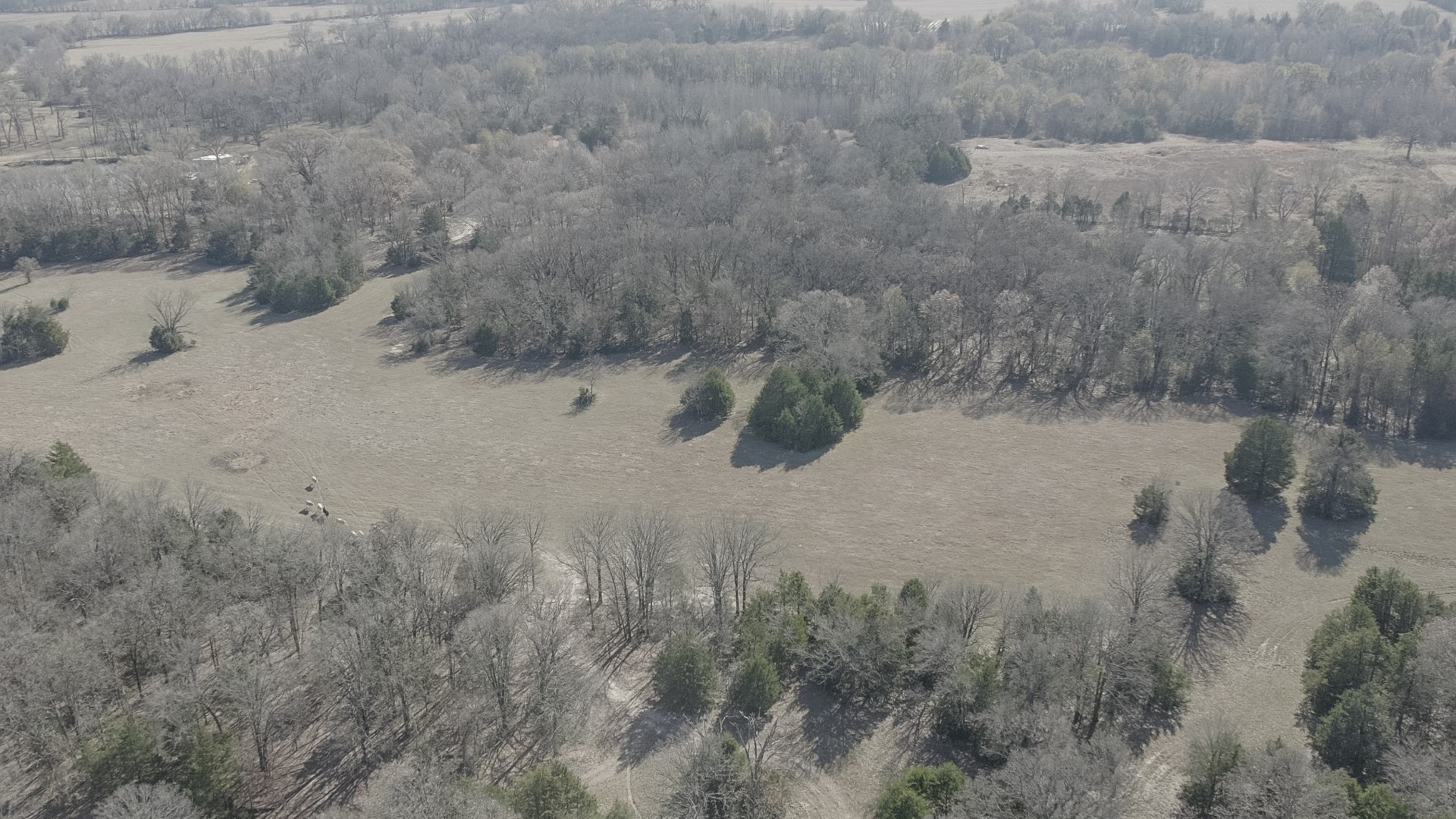 Tbd Cr 1810 Grand Saline TX 75140