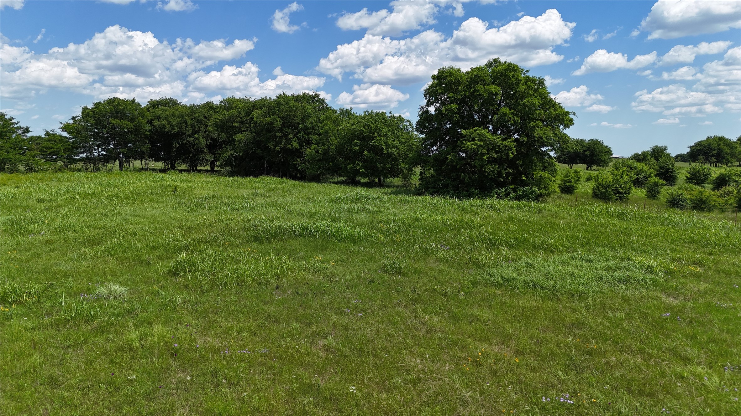 596 County Road 339 Gainesville TX 76240