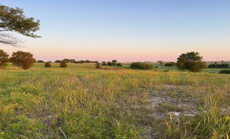 596 County Road 339 Gainesville TX 76240