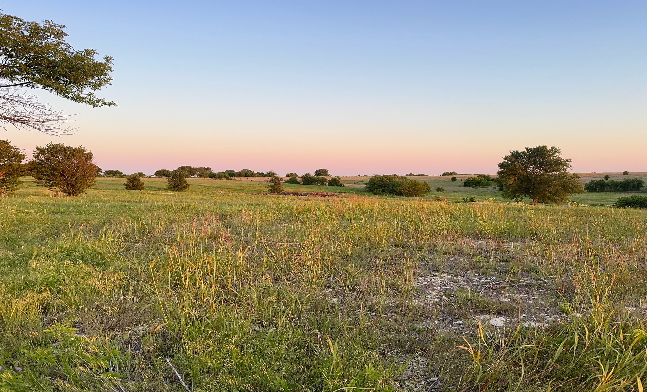 596 County Road 339 Gainesville TX 76240