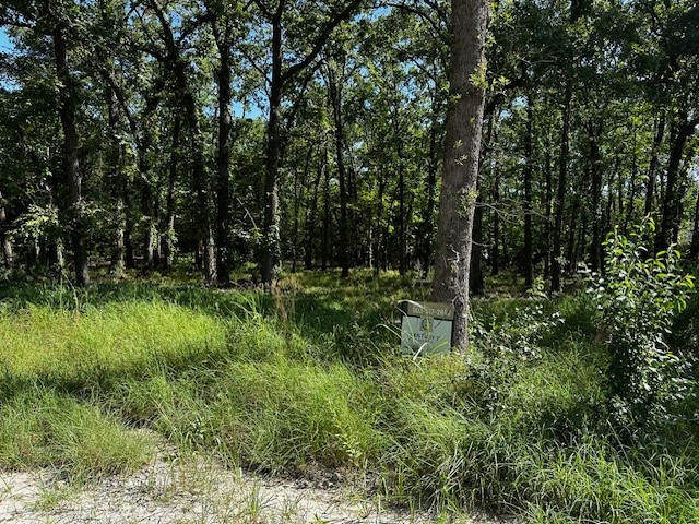 924 Woodland Drive West Tawakoni TX 75474