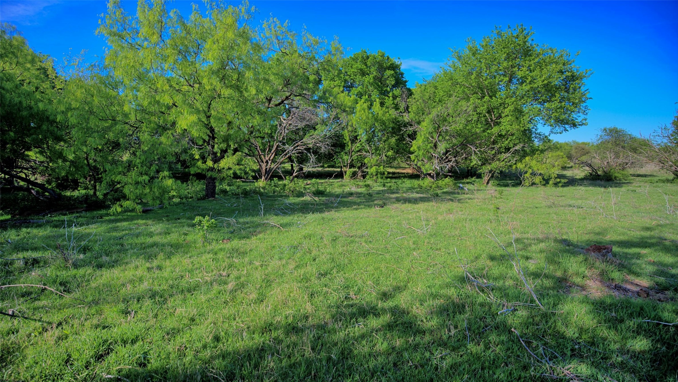 0 Applegate Bowie TX 76230