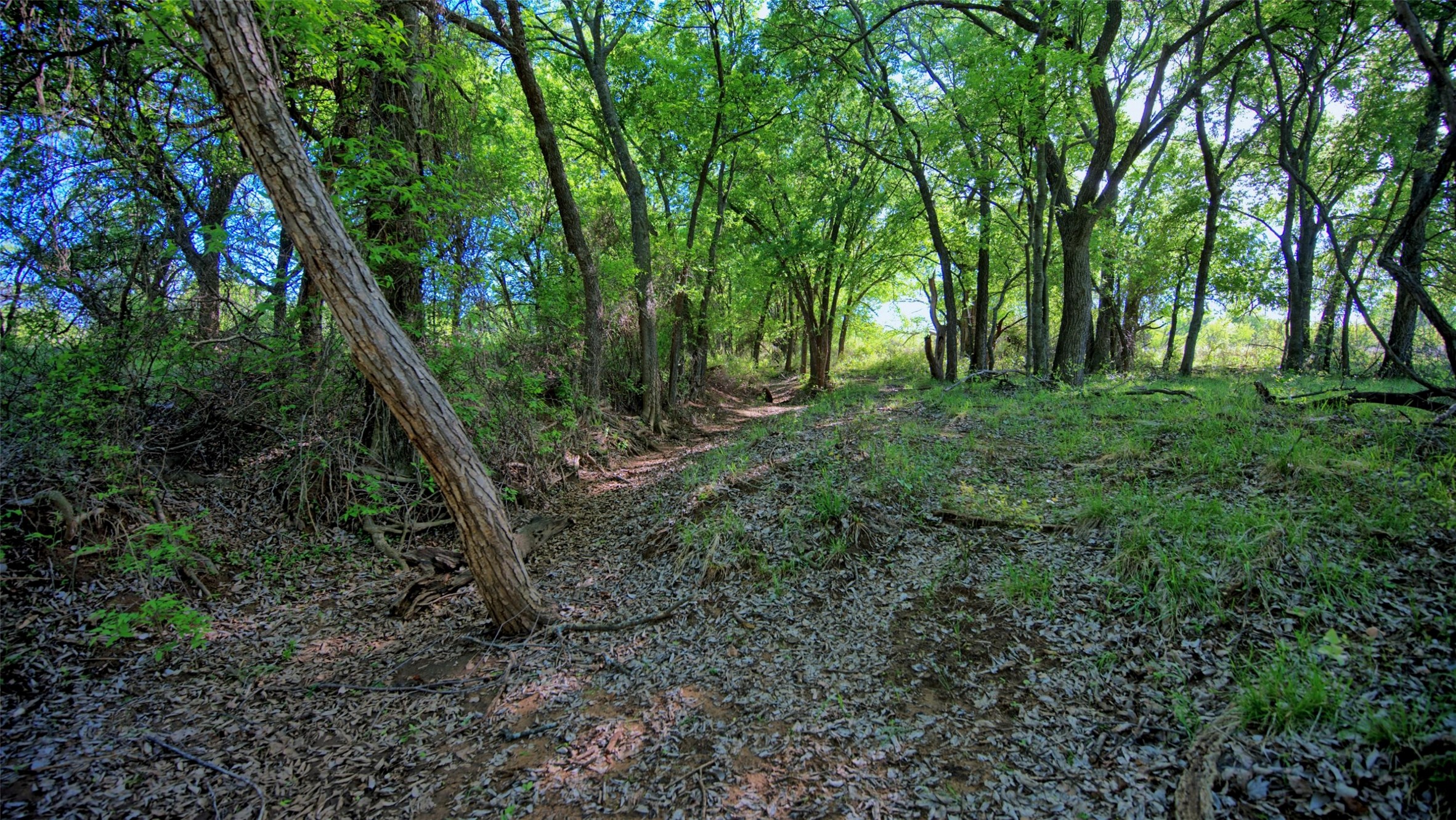 0 Applegate Bowie TX 76230