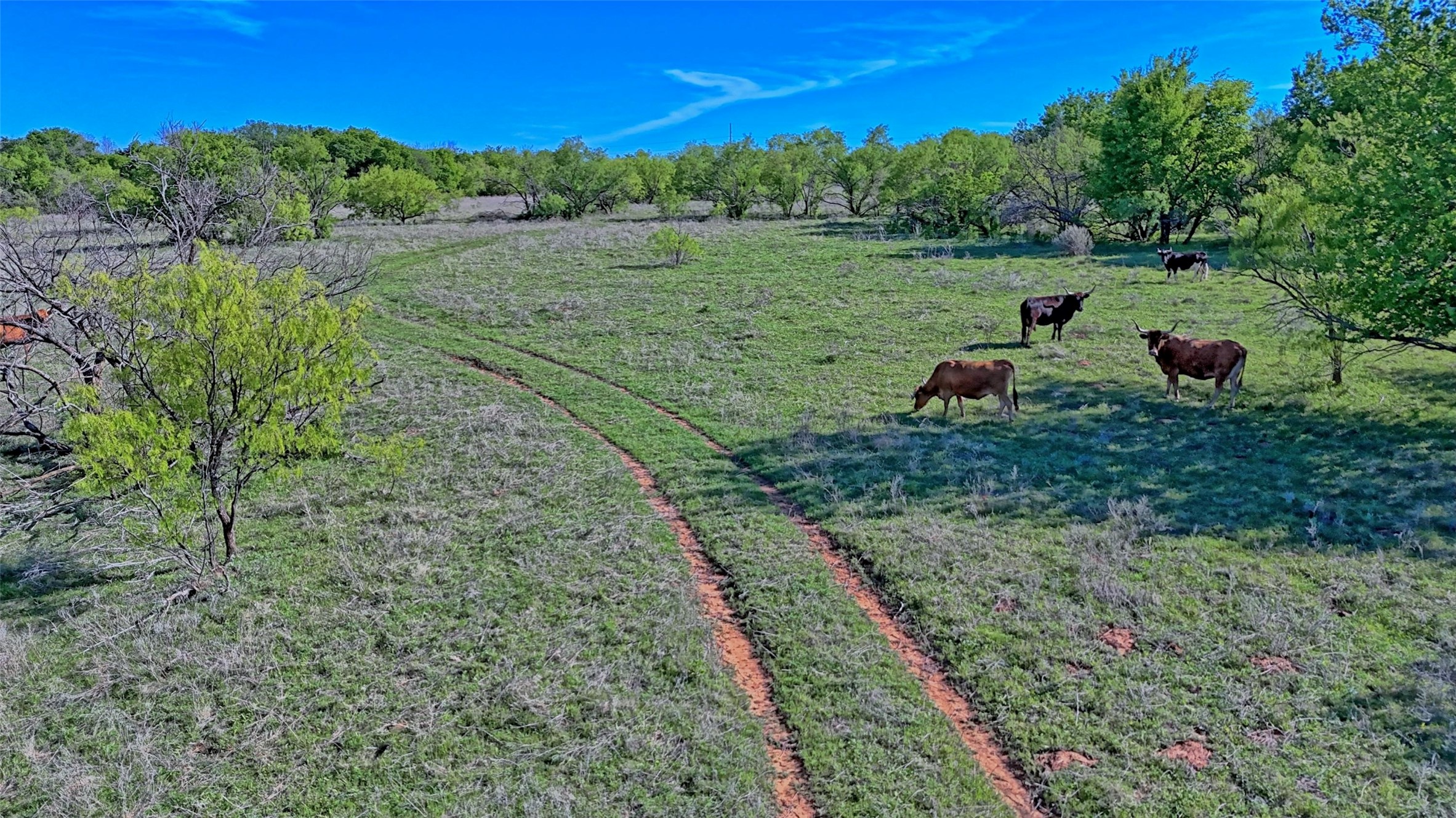 0 Applegate Bowie TX 76230