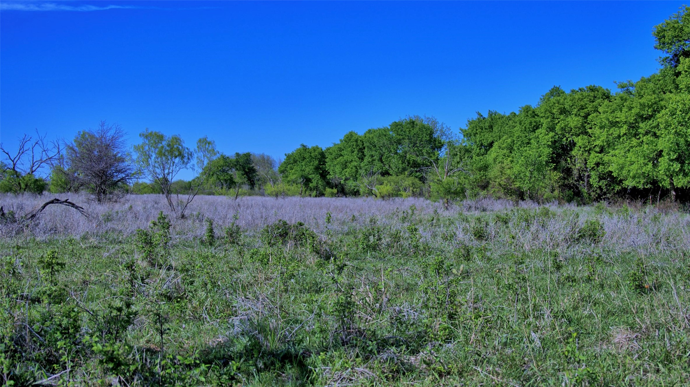 0 Applegate Bowie TX 76230