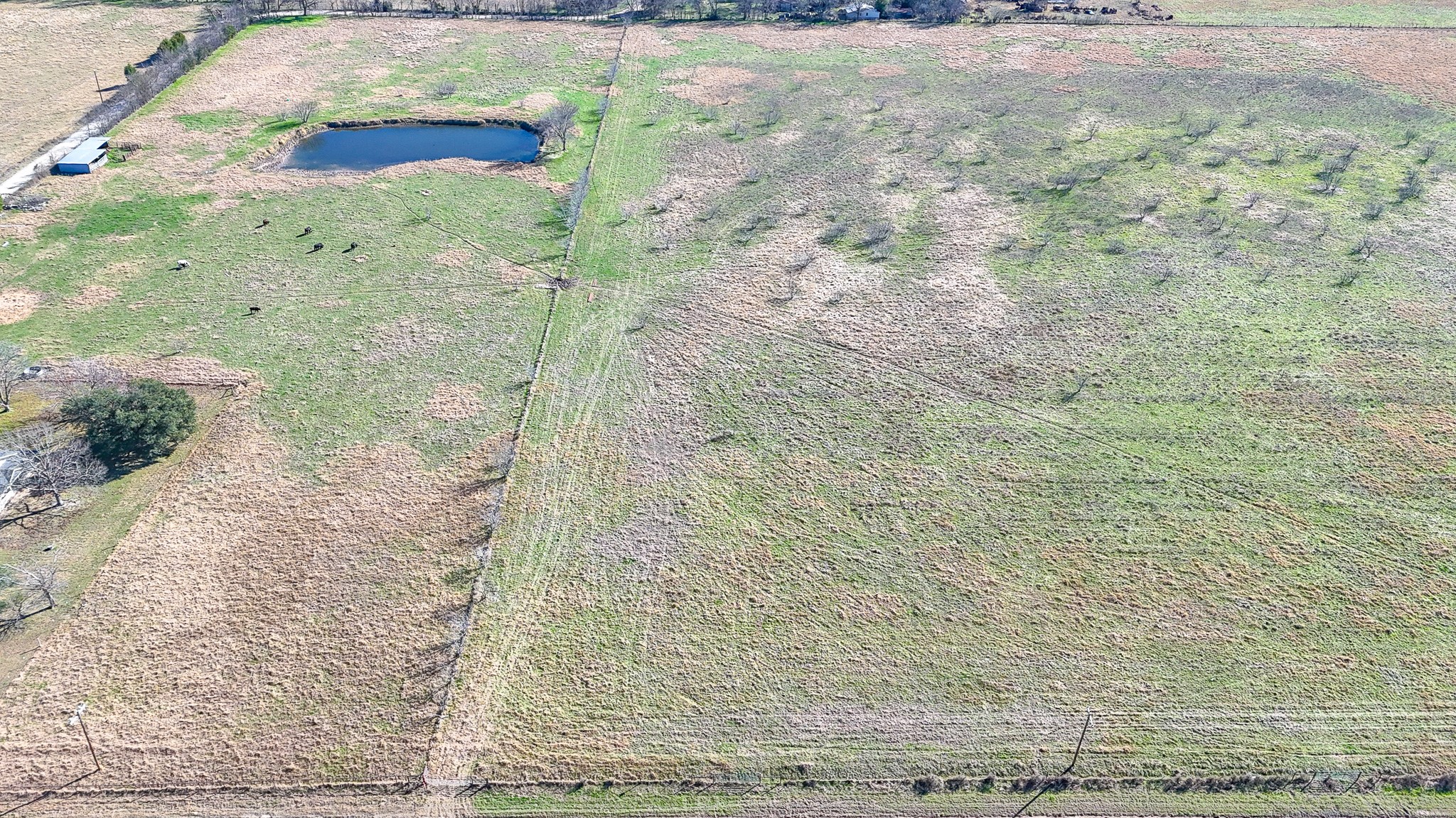 Lot 8 NE Cr 2160 Kerens TX 75144